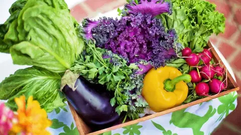 vegetables-g6ac0fca2a_1920