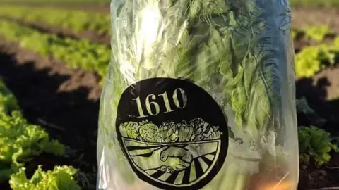 Productores_ Hortícolas_1610-Varela
