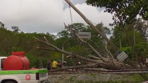 temporal_berazategui_