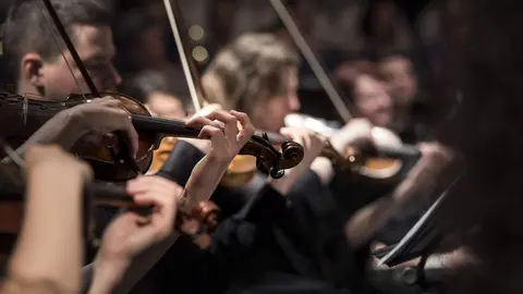 violins-gd82b906ba_1920
