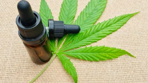 cannabis-5748860_1920