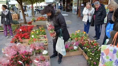 flores_florencio_varela_peatonal_monteagudo