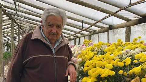 Mujica FB
