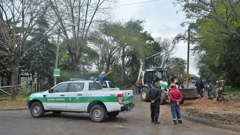 poda_arboles_varela
