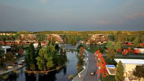 Forestaci&oacute;n de Cercana