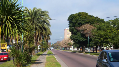 av san martin