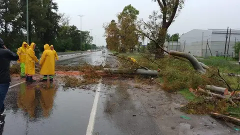 tempora_varela_diciembre