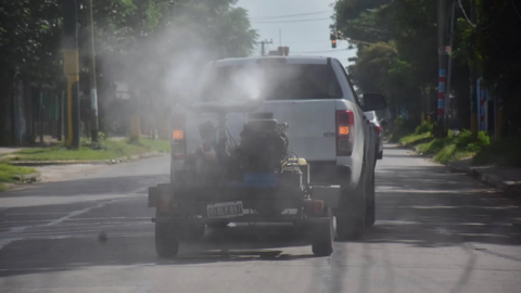 fumigacion