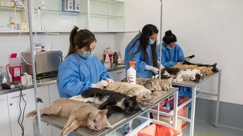 centro_veterinario_varela