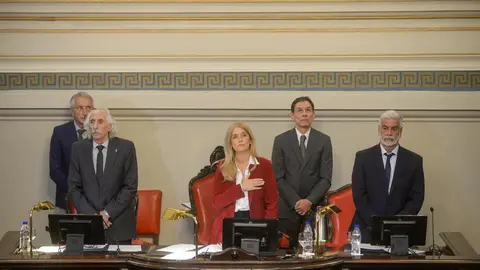 senado bonaerense veronica magario
