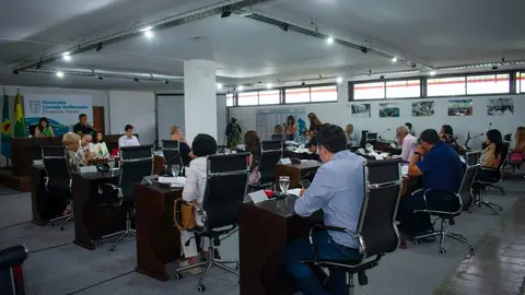 concejo deliberante varela