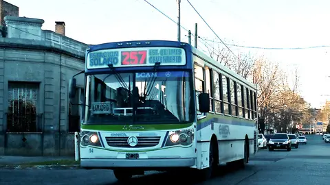 Colectivo_de_la_l&iacute;nea_257 (1)