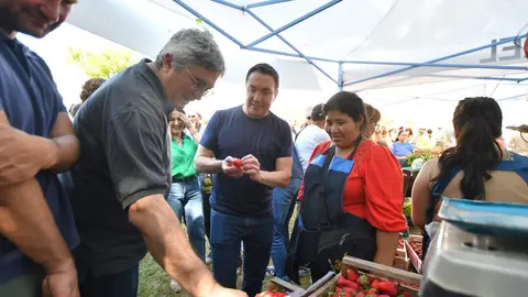 fiesta de la frutilla watson