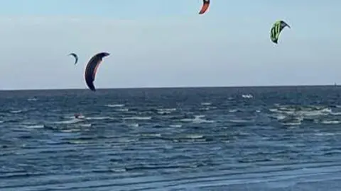 cinobacterias en quilmes