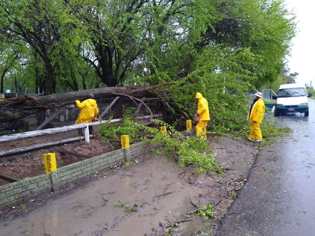 tormenta varela cuatro medios