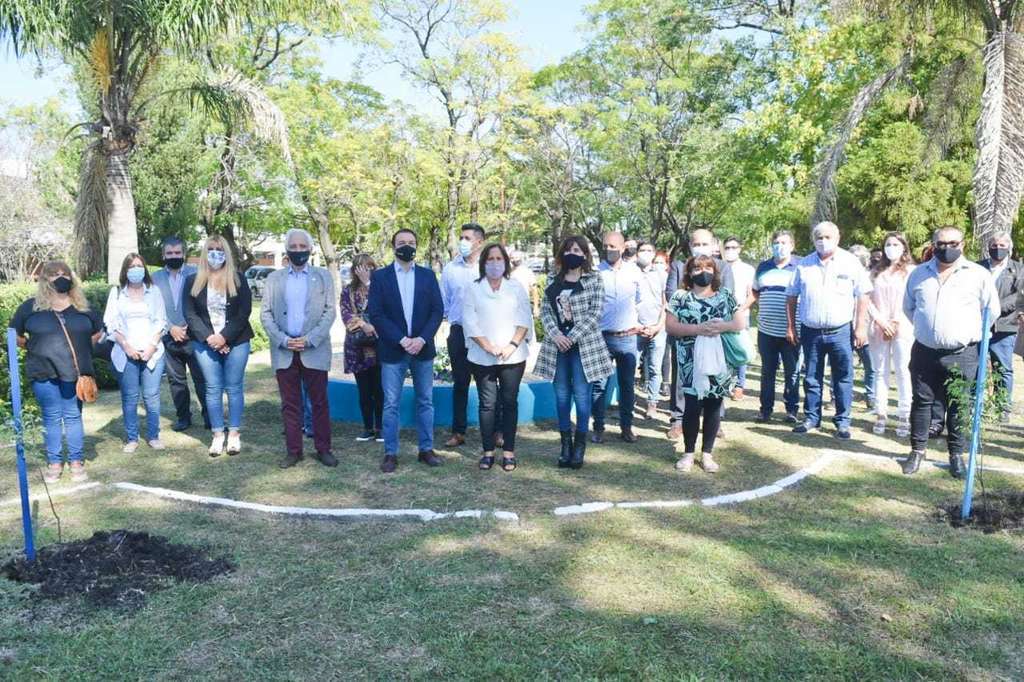 hcd varela watson memoria 2