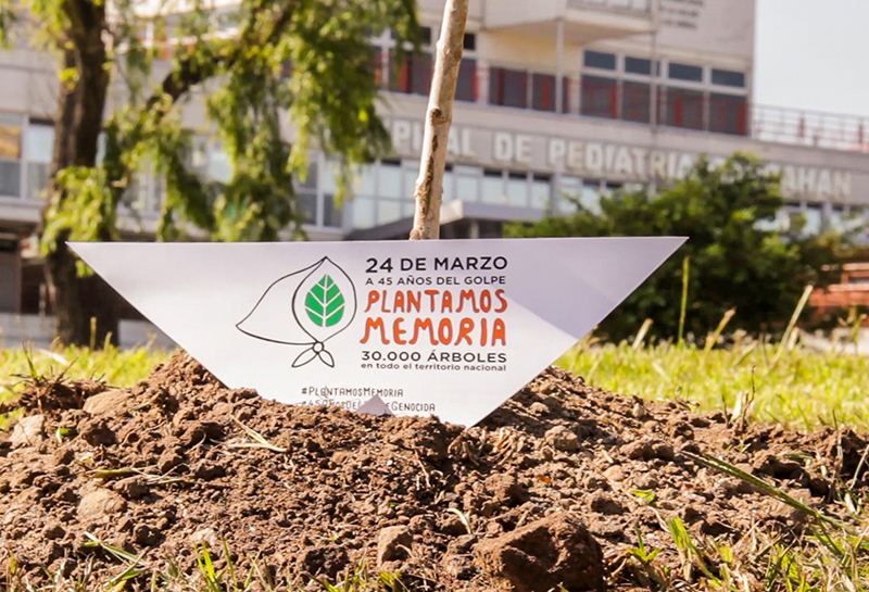 Plantamos memoria medina 2jpg