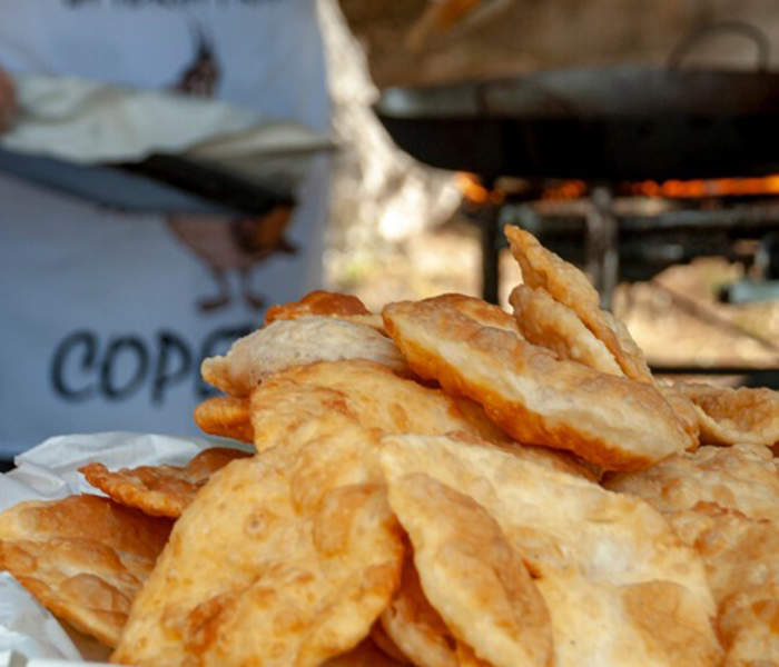 Tres Arroyos - Fiesta del mate y la torta frita en Copetonas (1)