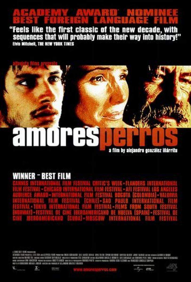 amores_perros-333613612-large