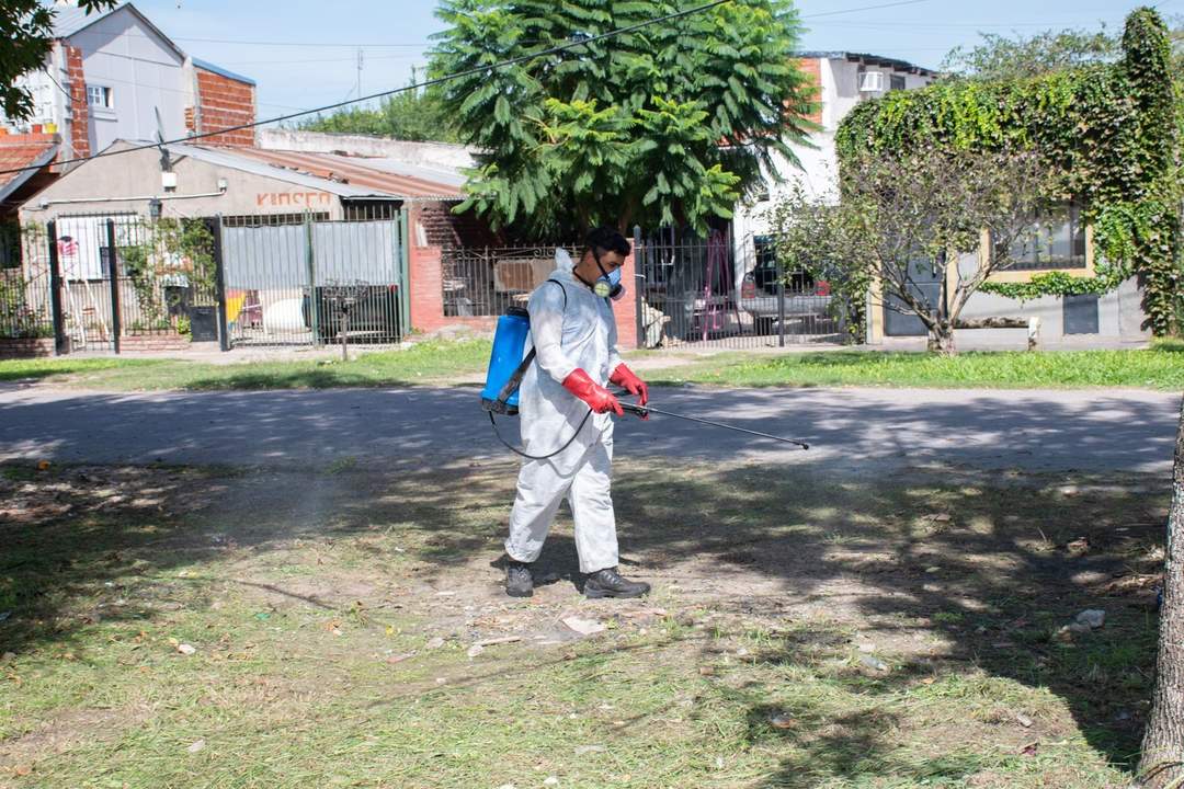 fumugacion_contra_dengue