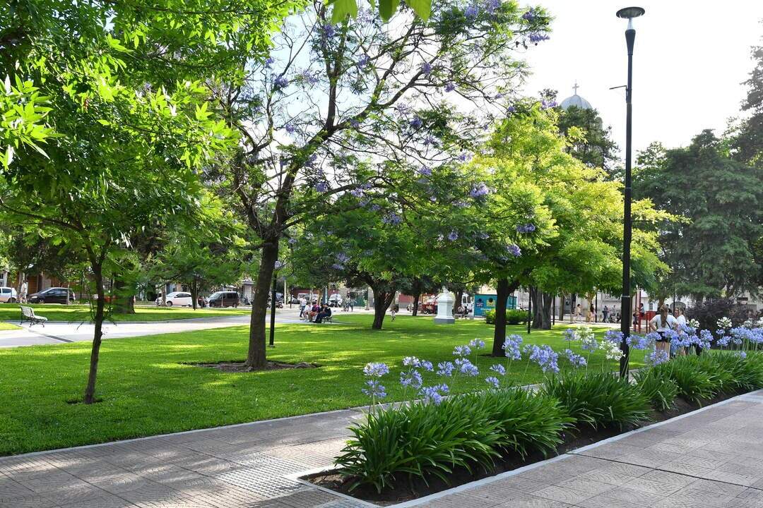 plaza san juan bautista parque