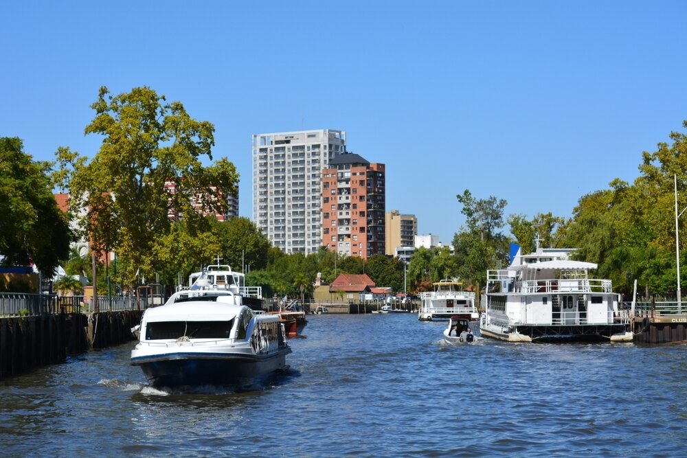 tigre 2